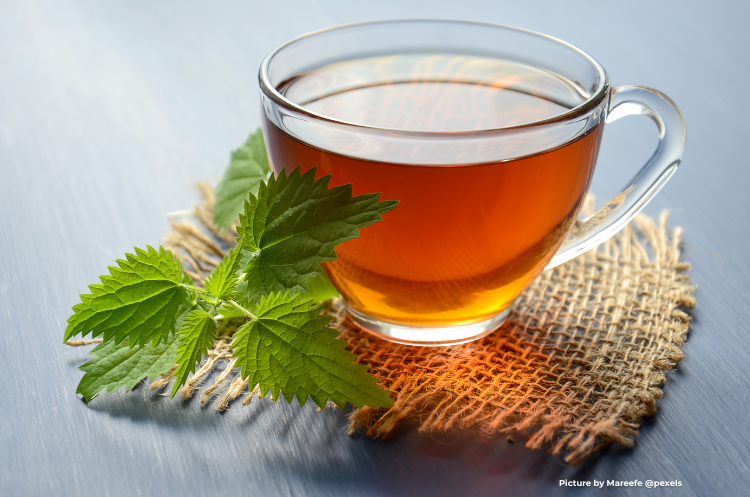 atural herbal tea with fresh green leaves, a calming option to relieve nausea during perimenopause.